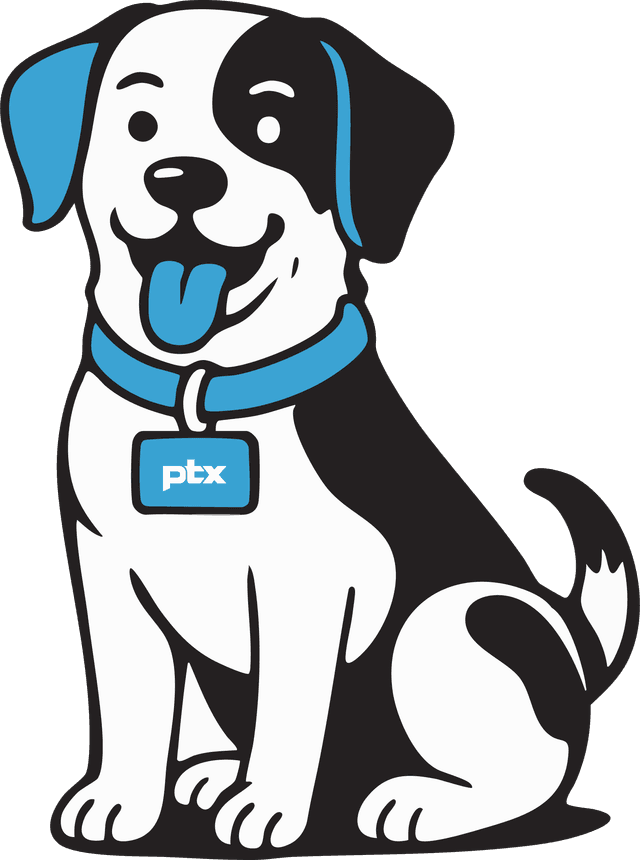 Pet Insurance Why It's Important