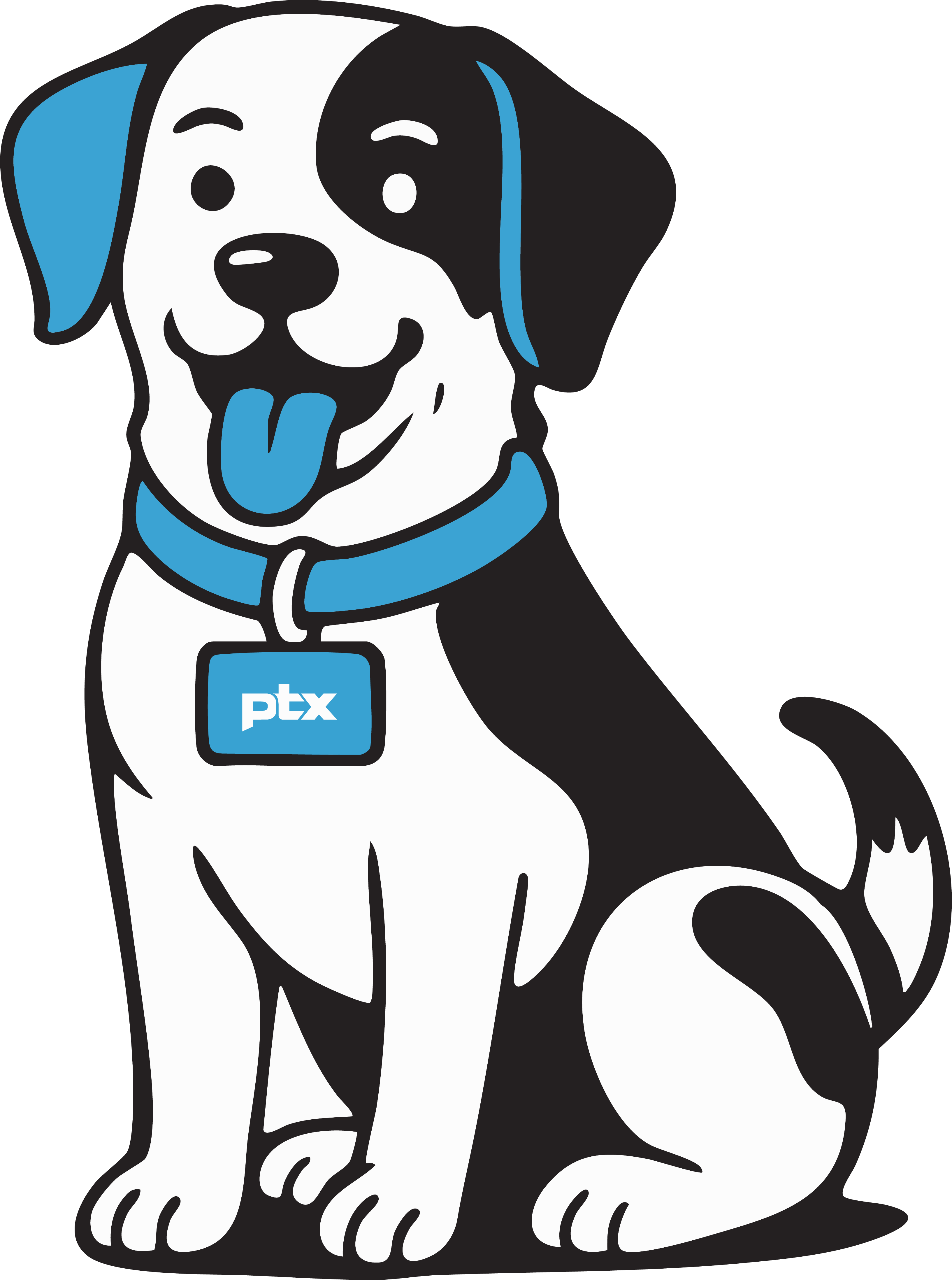 Pet Insurance Why It's Important